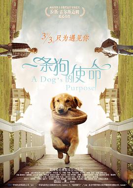 欧亚专线欧洲s码在线